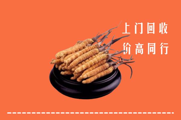 高价求购：济宁市回收散虫草