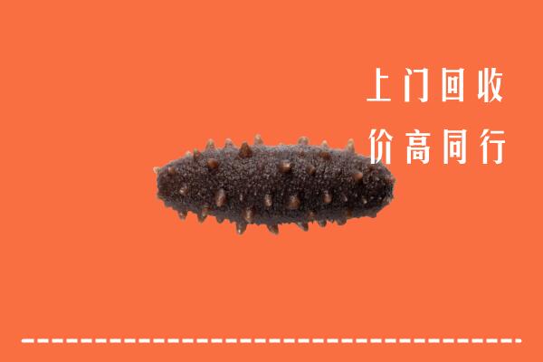 高价求购：济宁市回收海参