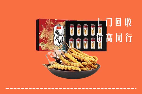 济宁市回收虫草